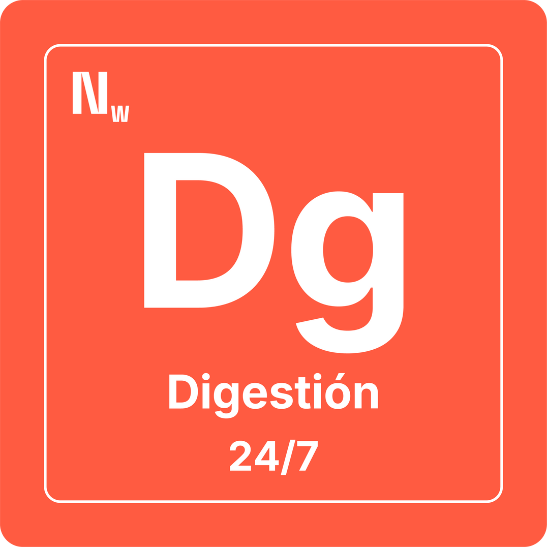 Digestión